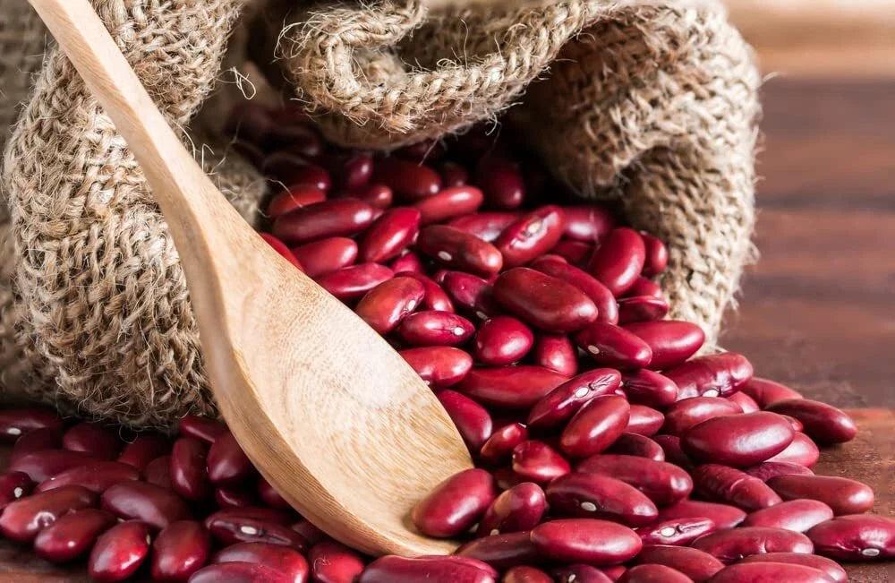 Red Kidney Bean Seeds - 30 Seeds for Planting, Phaseolus vulgaris, Easy to Grow, Nutritious, Bush & Climbing Varieties