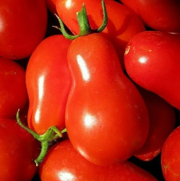 Red Pear Tomato Seeds - 100+ Non-GMO Vegetable Seeds for Garden Sauce & Salad
