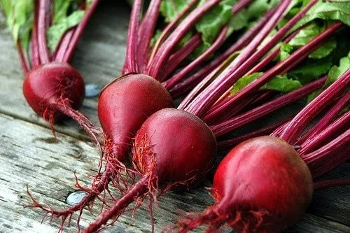 Beet Seeds 200 Count - Ruby Queen Beta vulgaris for Canning, Pickling, Fresh Eating, Round Roots, Edible Tops