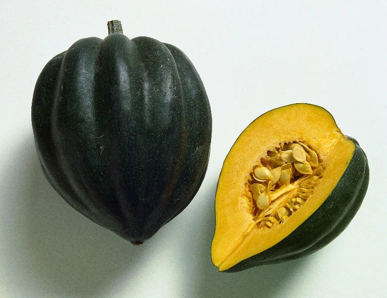 Acorn Squash Seeds Table Queen - Fresh Non-GMO Cucurbita pepo
