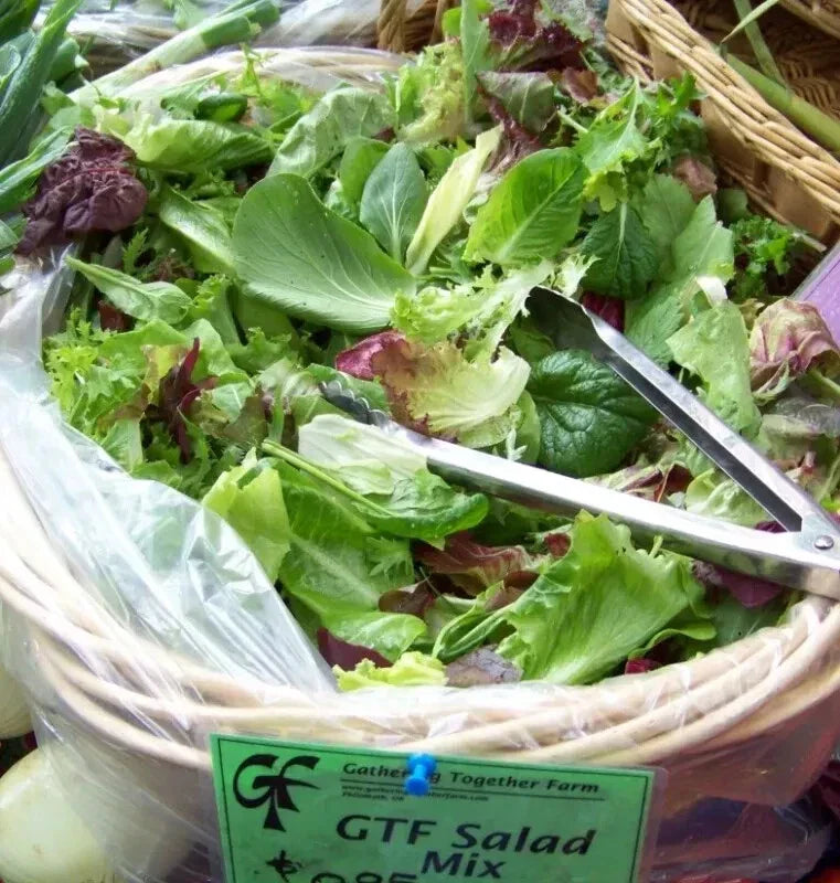 3000 Seeds Gourmet Salad Greens Mix - Lettuce Variety for Home Gardening