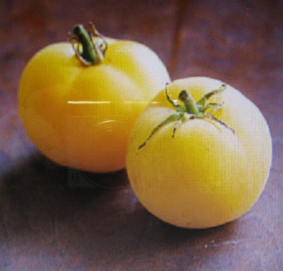 Garden Peach Tomato Seeds, Heirloom Solanum lycopersicum, Sweet Peach-colored Fruits, Non-GMO, 25 Seeds Pack