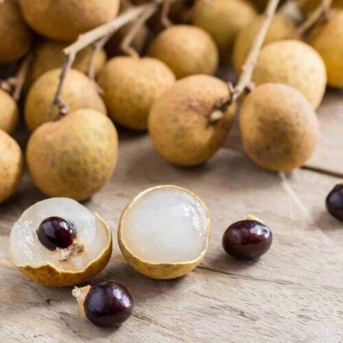 Longan Seeds Pack of 20 | Sweet Dragon Eye Fruit | Dimocarpus longan | Organic Non-GMO Seeds for Home Gardening