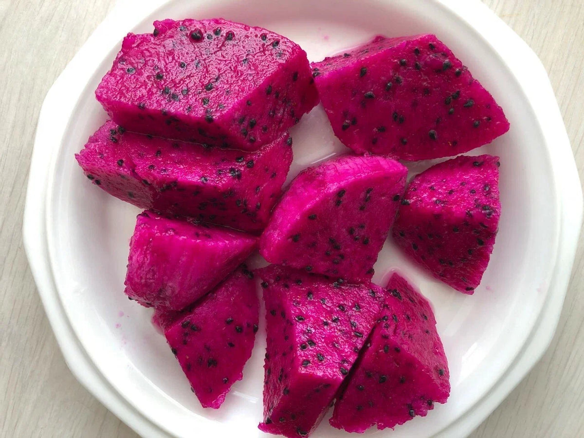 Red Dragon Fruit Cuttings 9-14" - Hylocereus undatus 'Condor' for Easy Propagation