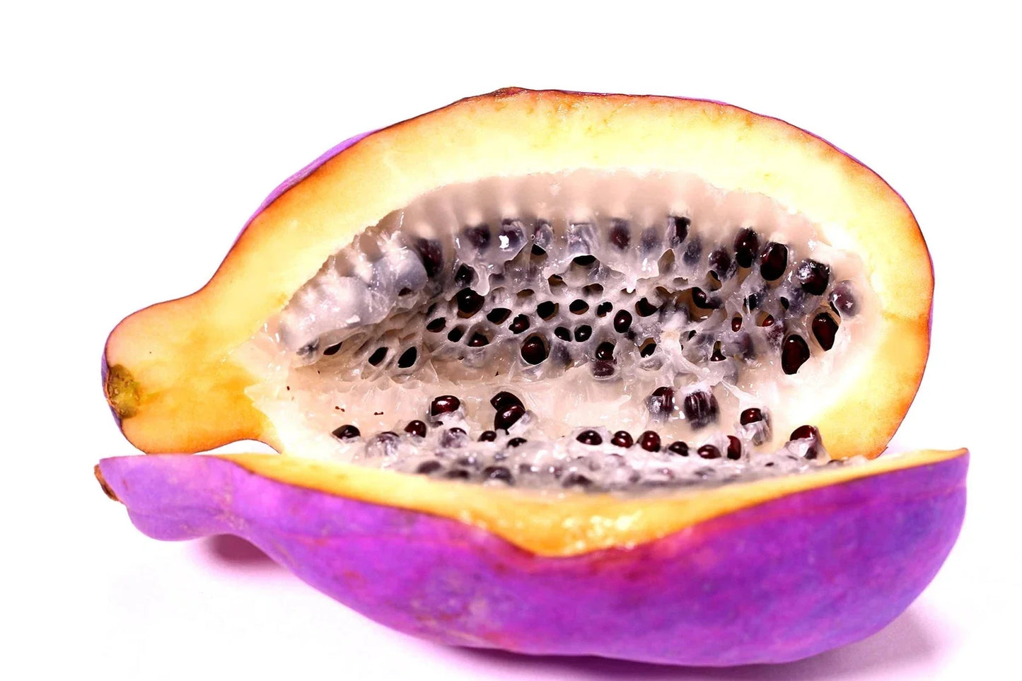 Chocolate Vine Seeds - 15 Pack, Akebia quinata, Exotic Five Leaf Climbing Vine for Garden, Fences & Trellises
