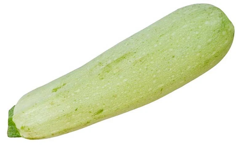 Lebanese Squash Seeds - Pack of 25+ Cucurbita pepo Non-GMO Garden Seeds for Home Growing