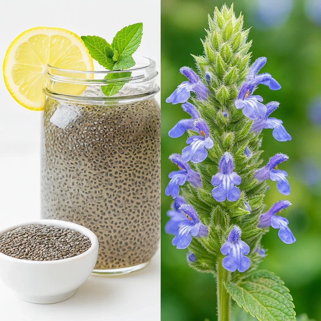 Organic Chia Seeds for Microgreens – Salvia Hispanica, Non-GMO, 2,000+ Seeds, Indoor & Outdoor Gardening