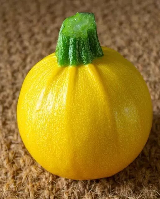 10 Ball Squash Seeds Pack - Exotic Pool Ball Sized Edible Cucurbita pepo for Container Gardening