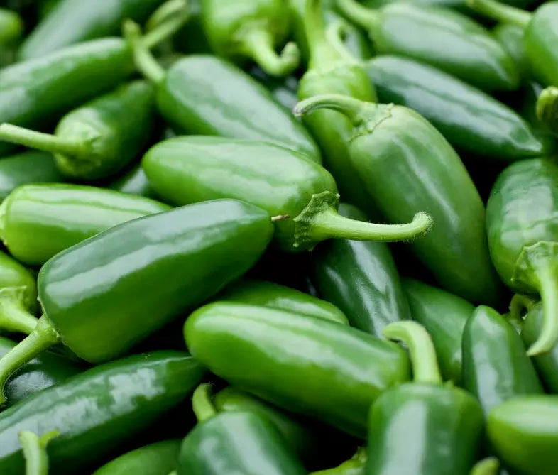 Jalapeno Pepper Seeds 50+ Spicy Mexican Culinary Capsicum annuum