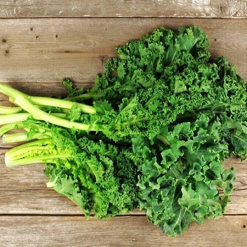 Dwarf Siberian Kale Seeds - 1,000 Non-GMO Heirloom Brassica napus var. pabularia