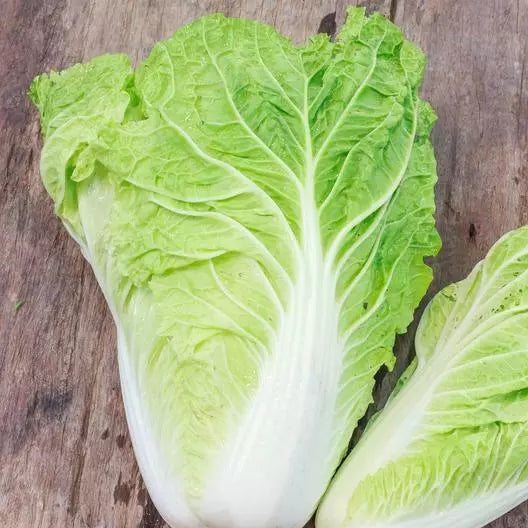 1000 Non-GMO Heirloom Michihili Cabbage Seeds - Organic Brassica rapa for Home Gardening