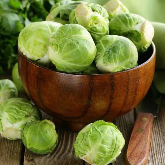 Long Island Improved Brussels Sprouts Seeds - 1000 Non-GMO Heirloom Brassica oleracea
