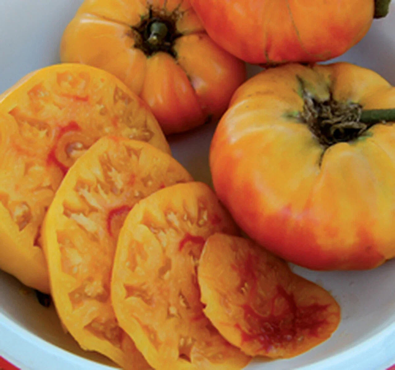 Gold Medal Tomato Seeds - 15 Non-GMO Heirloom Seeds | Solanum lycopersicum
