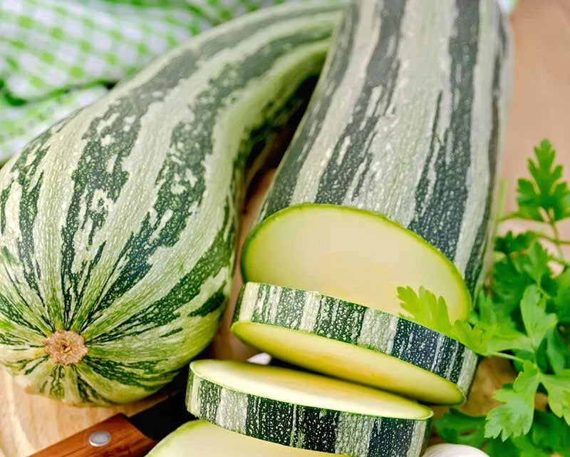 Cocozelle Squash Seeds - 25+ Heirloom Cucurbita pepo for Garden Planting, Vining, Full Sun, Non-GMO, USA