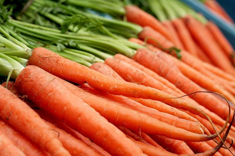 Nantes Scarlet Carrot Seeds - 775 Packets Daucus carota Subsp. sativus for Home Garden, Container Growing, Non-GMO