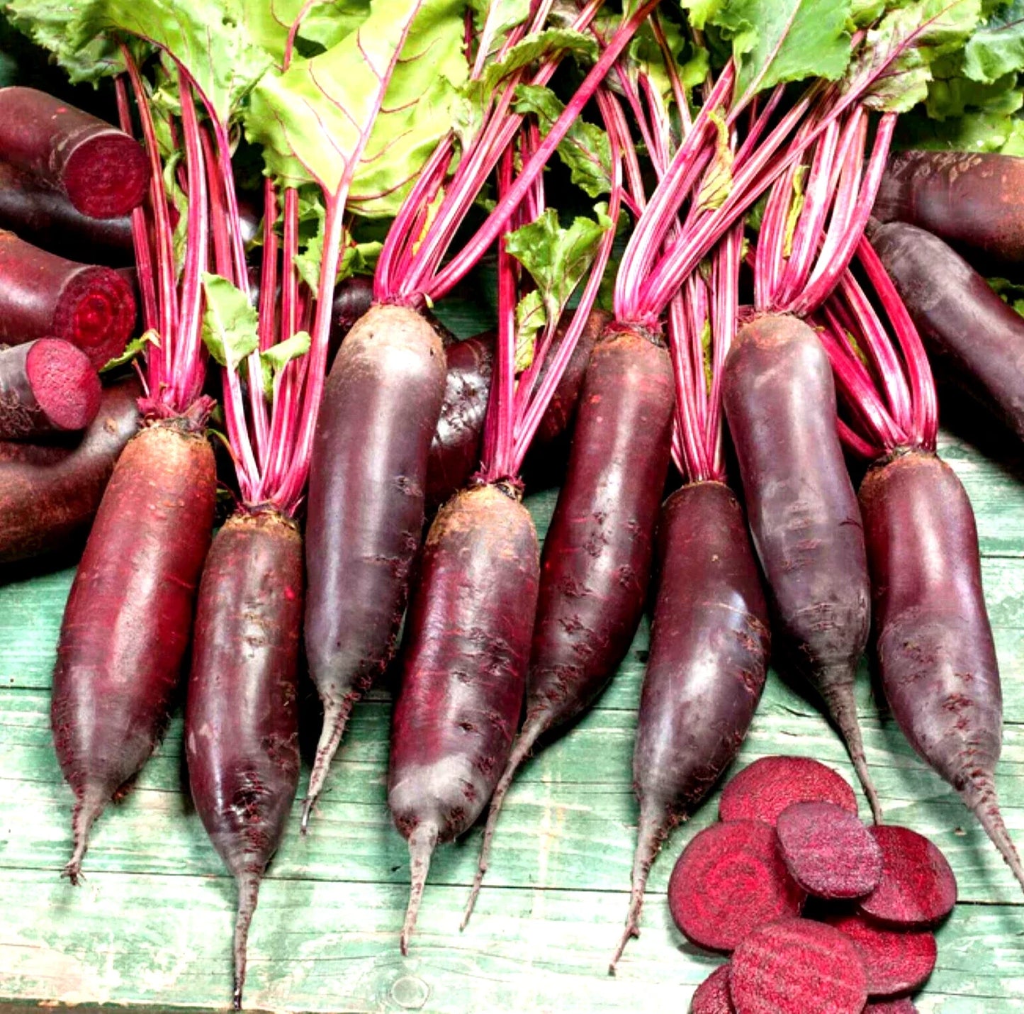 Cylindra Beet Seeds – Non-GMO Beta vulgaris, 100+ Pack for Home Garden, Container Planting, Roasting & Pickling
