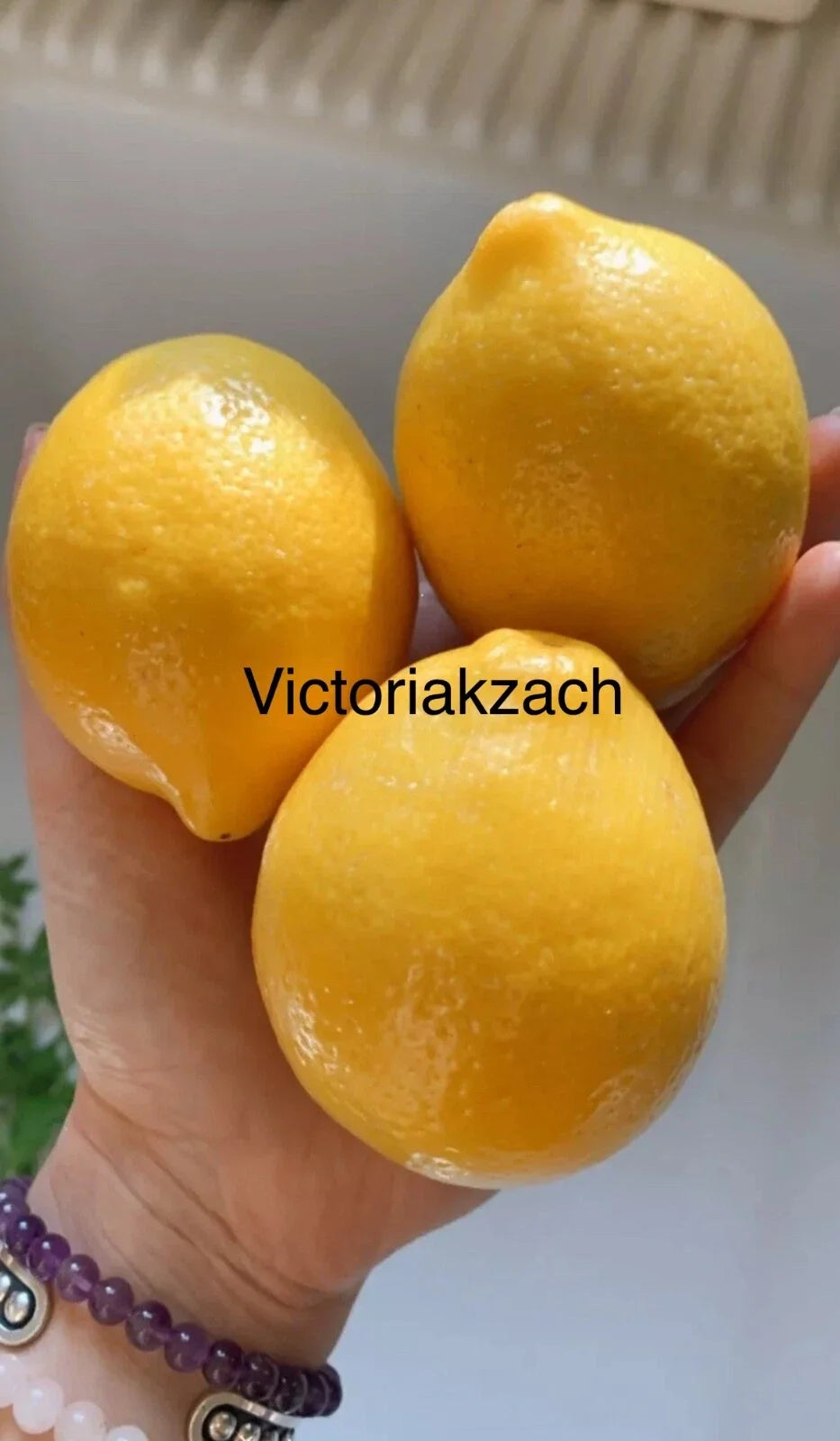 Organic Meyer Lemon Seeds - Citrus × meyeri - Edible Fruit Tree for Home Garden & Container Planting