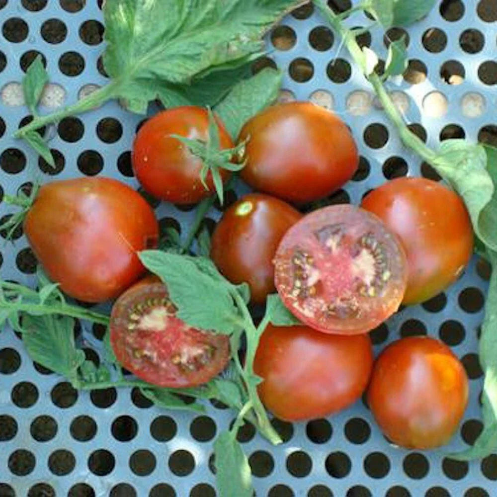 Black Truffle Tomato Seeds - 100 Pack - Indeterminate Non-GMO Heirloom