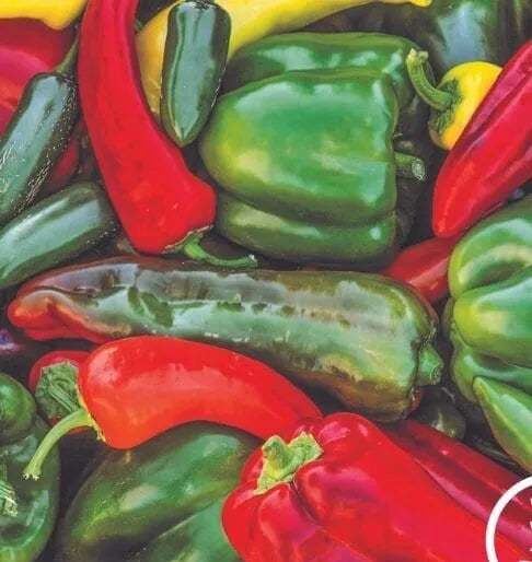 Sweet & Spicy Pepper Mix Seeds - 120+ Non-GMO Heirloom Varieties for Home Gardens