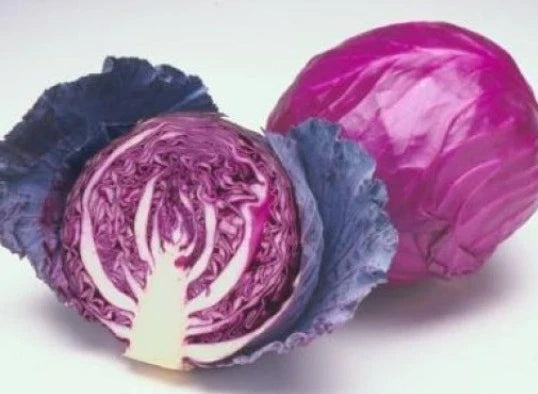 Red Acre Cabbage Seeds - Non-GMO, Heirloom, 25 Pack Brassica oleracea var. capitata for Home Gardens & Containers