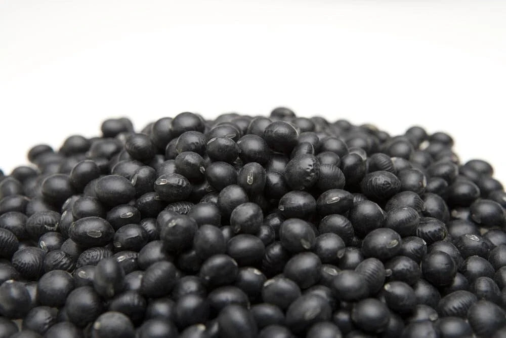 Black Soybean Seeds for Planting - Organic Non-GMO Edamame Glycine max, Sprouts & Full Season Cultivation