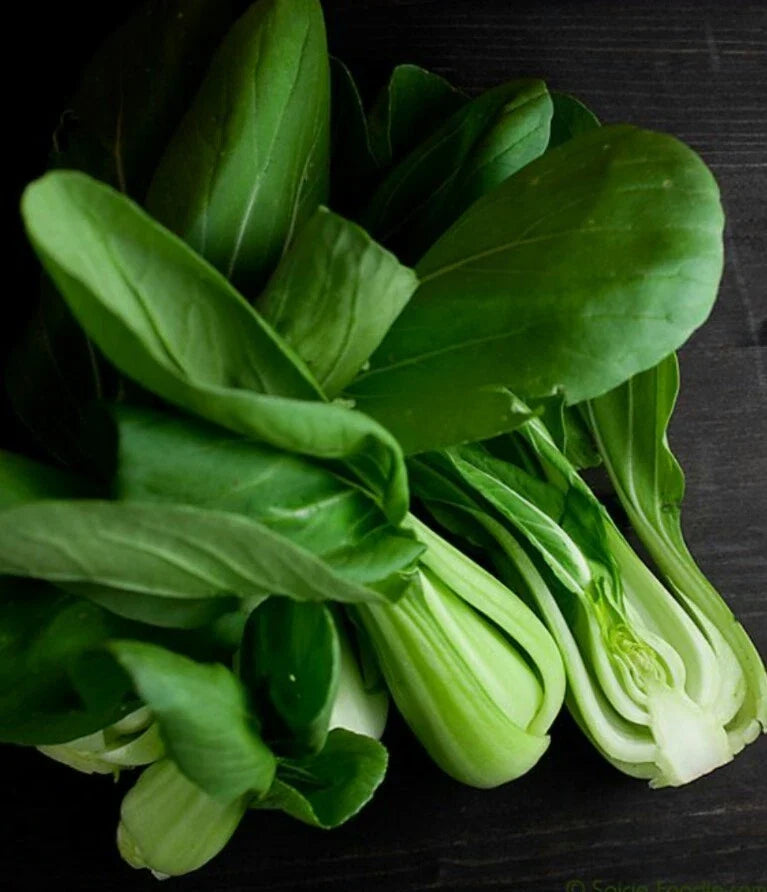 Pak Choi White Stem Cabbage Seeds – Organic, Non-GMO, Open-Pollinated, Brassica rapa subsp. chinensis, 400 Seeds