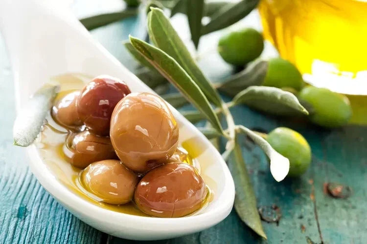 Arbequina Olive Seeds - Spanish Variety for Garden Planting - Olea europaea - Full Sun, Well-Draining Soil