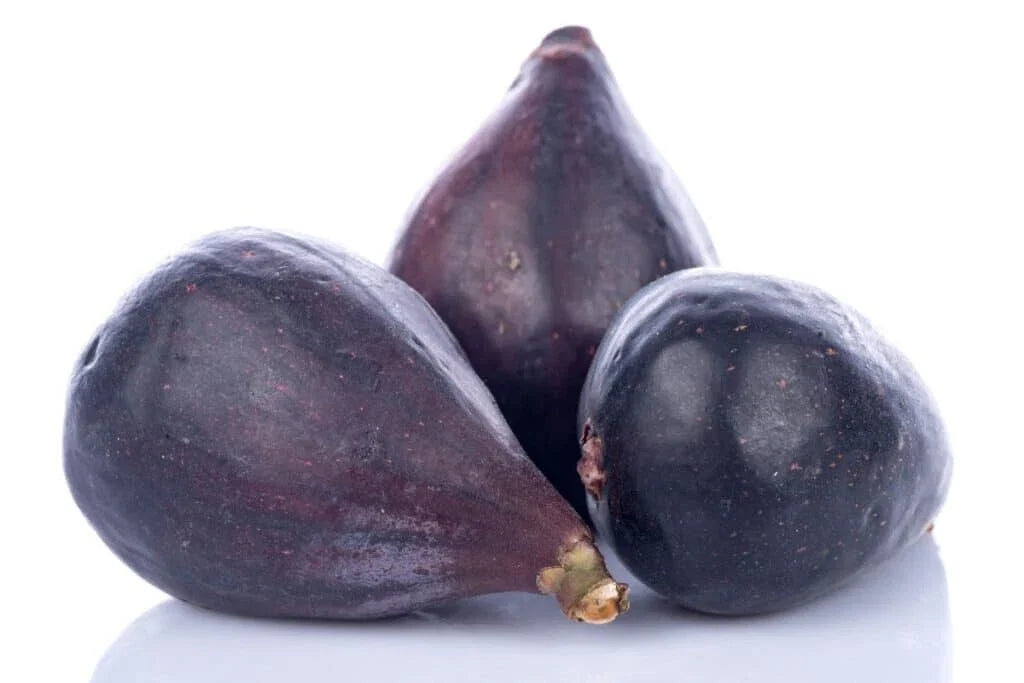 LSU Gold Fig Seeds - 100+ Count, Ficus carica, Deciduous Fruit Tree, Golden Figs, Garden Seeds, USA