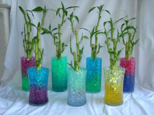 Water Beads for Lucky Bamboo Plants – Hydrating Soil Moisture Retainer – Non-Toxic Gel Beads for Healthy Roots and Growth