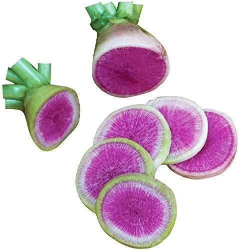Watermelon Radish Seeds - 250+ Pack, Exotic Vegetable for Planting, Raphanus sativus var. radicola