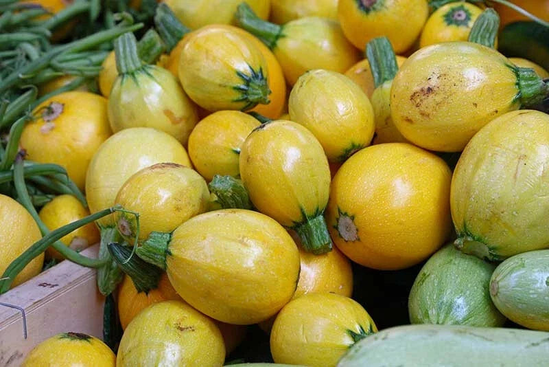 Yellow Globe Squash Seeds – 25+ Pack, Cucurbita pepo, Non-GMO, Open-Pollinated, Garden Planting, USA Grown