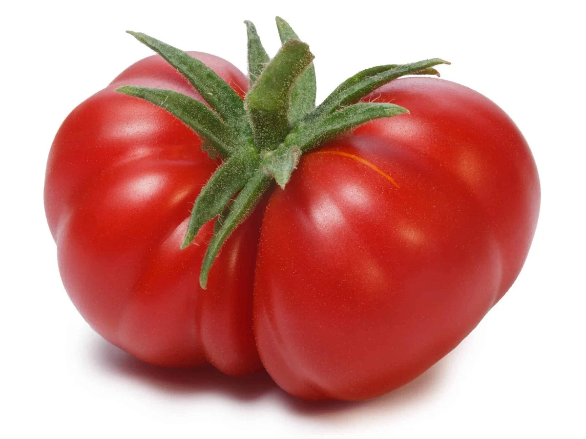 Beefsteak Tomato Seeds - 120+ Heirloom Organic Non-GMO Solanum lycopersicum for Large Juicy Tomatoes