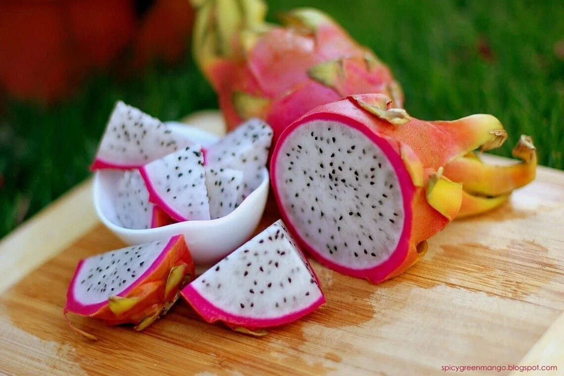 Dragon Fruit Seeds 50 Count Hylocereus Triangularis Exotic Tropical Fruit Easy to Grow