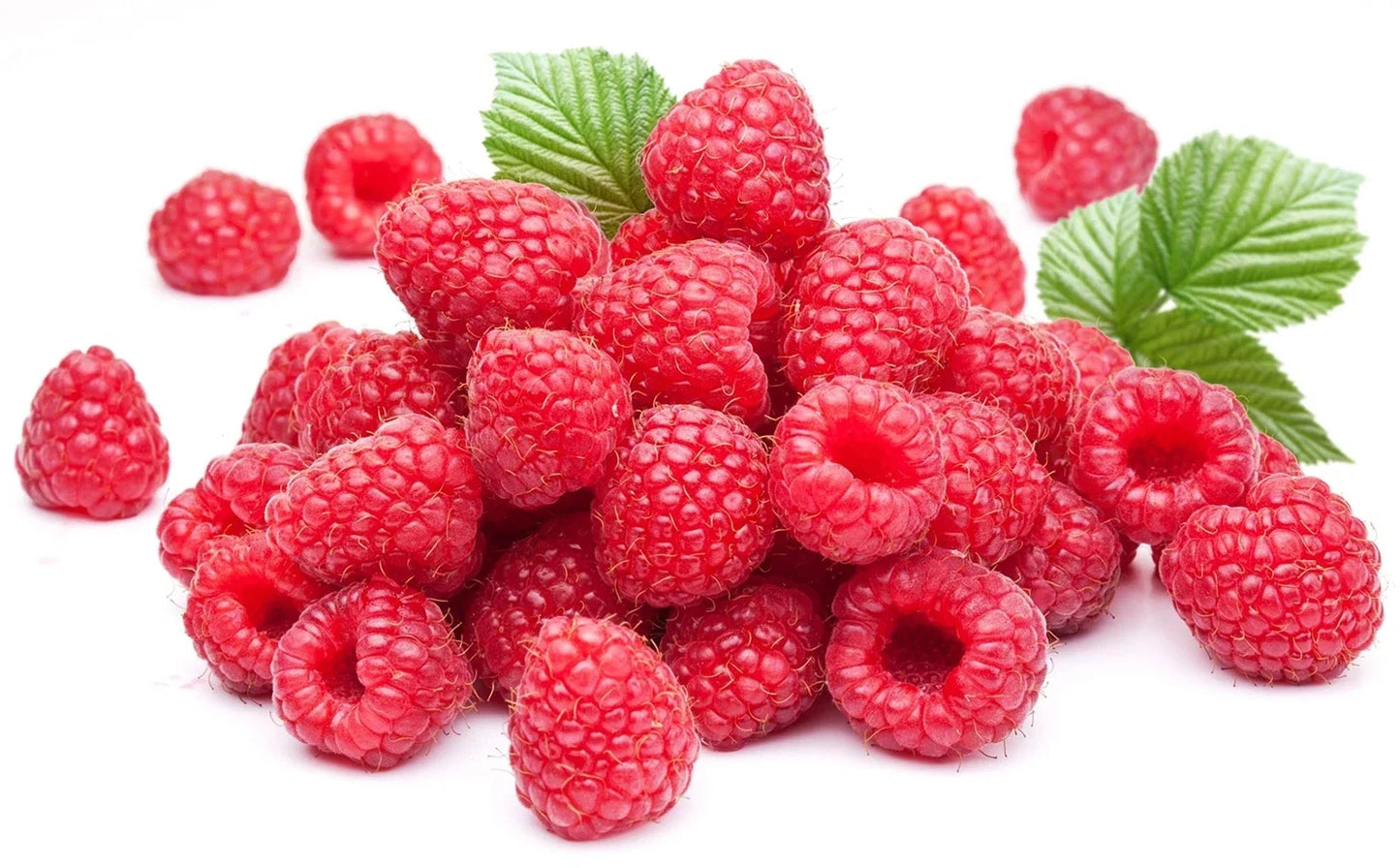 Red Raspberry Seeds - 200 Seeds Rubus idaeus for Home Garden, Fresh Berries, Pollinator-Friendly, Made in USA