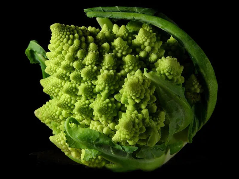Broccoli Romanesco Seeds - 100 Count Pack - GroCo USA