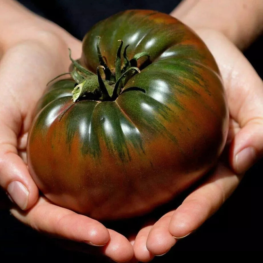 Russian Black Krim Tomato Seeds - 30+ Non-GMO Organic Heirloom Seeds for Planting