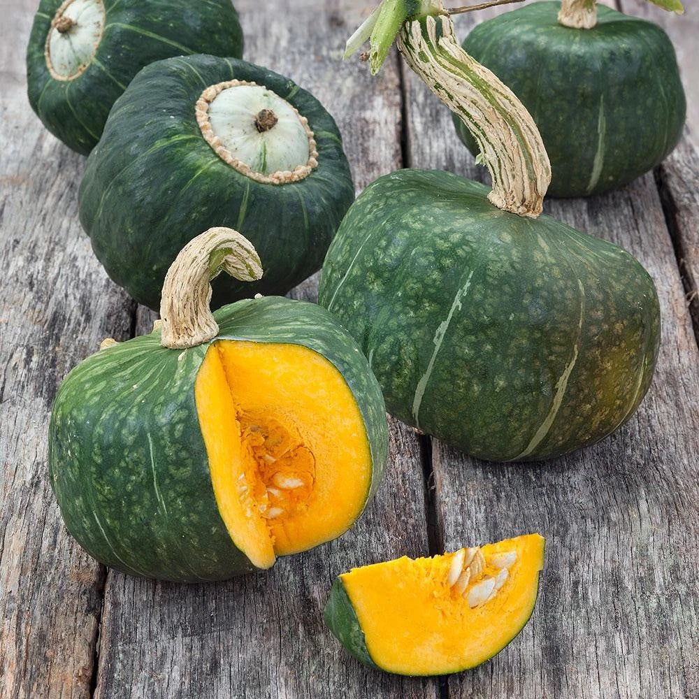 Burgess Buttercup Squash Seeds - Heirloom Winter Vegetable, Cucurbita maxima, Vining, Organic, 20 Seeds