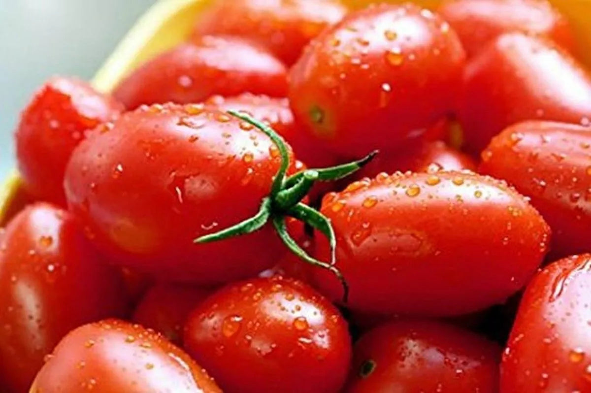 Crovarese Italian Grape Tomato Seeds 50 Ct Heirloom Vegetable Seeds Solanum lycopersicum USA