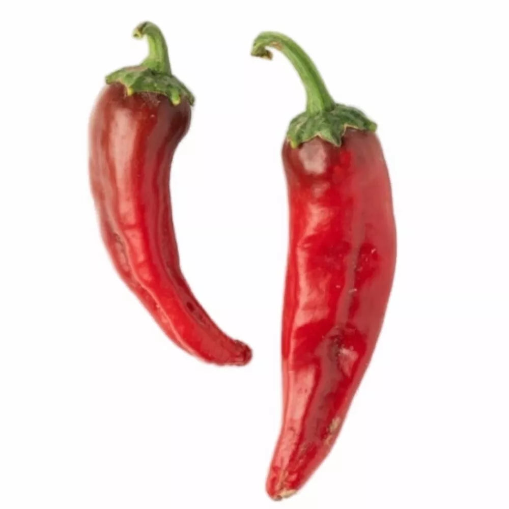 NuMex Joe E Parker Hot Pepper Seeds, Non-GMO Heirloom, Capsicum annuum, Spicy Garden Seeds for Full Sun, 4-6 Inch Peppers