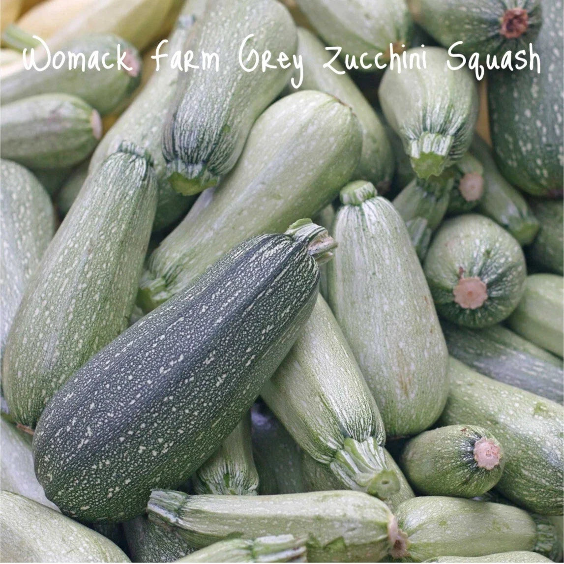 Organic Grey Zucchini Seeds, Cucurbita pepo, Non-GMO, Summer Squash for Home Garden, 25+ Seeds