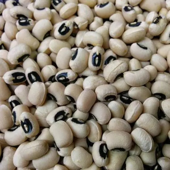 California Blackeye Cowpea Seeds – Heirloom Legume for Vegetable Garden, Vigna unguiculata, Bush Variety, 50 Seeds