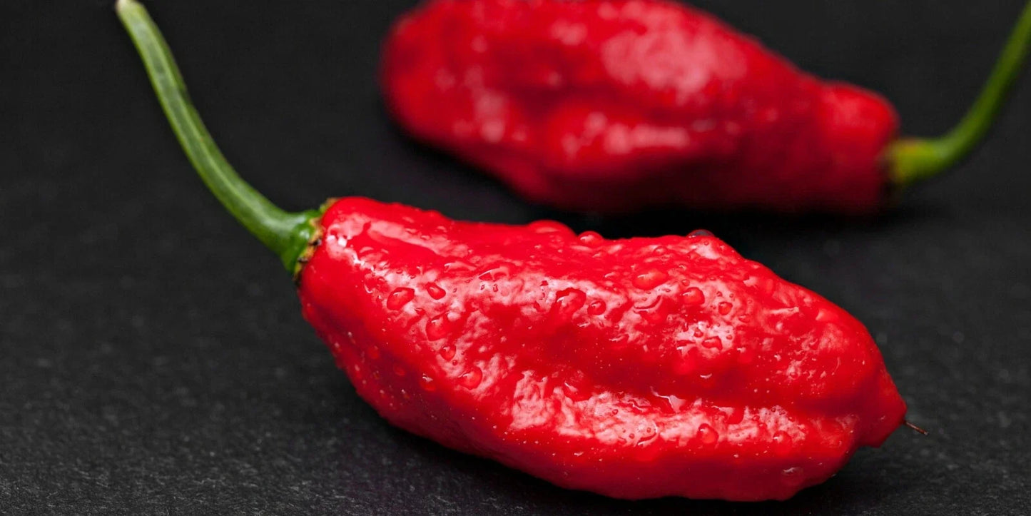 Ghost Pepper Seeds - Capsicum chinense - Spicy Hot Pepper Seeds for Gardening - Fruity, Smoky Flavor, Bright Red