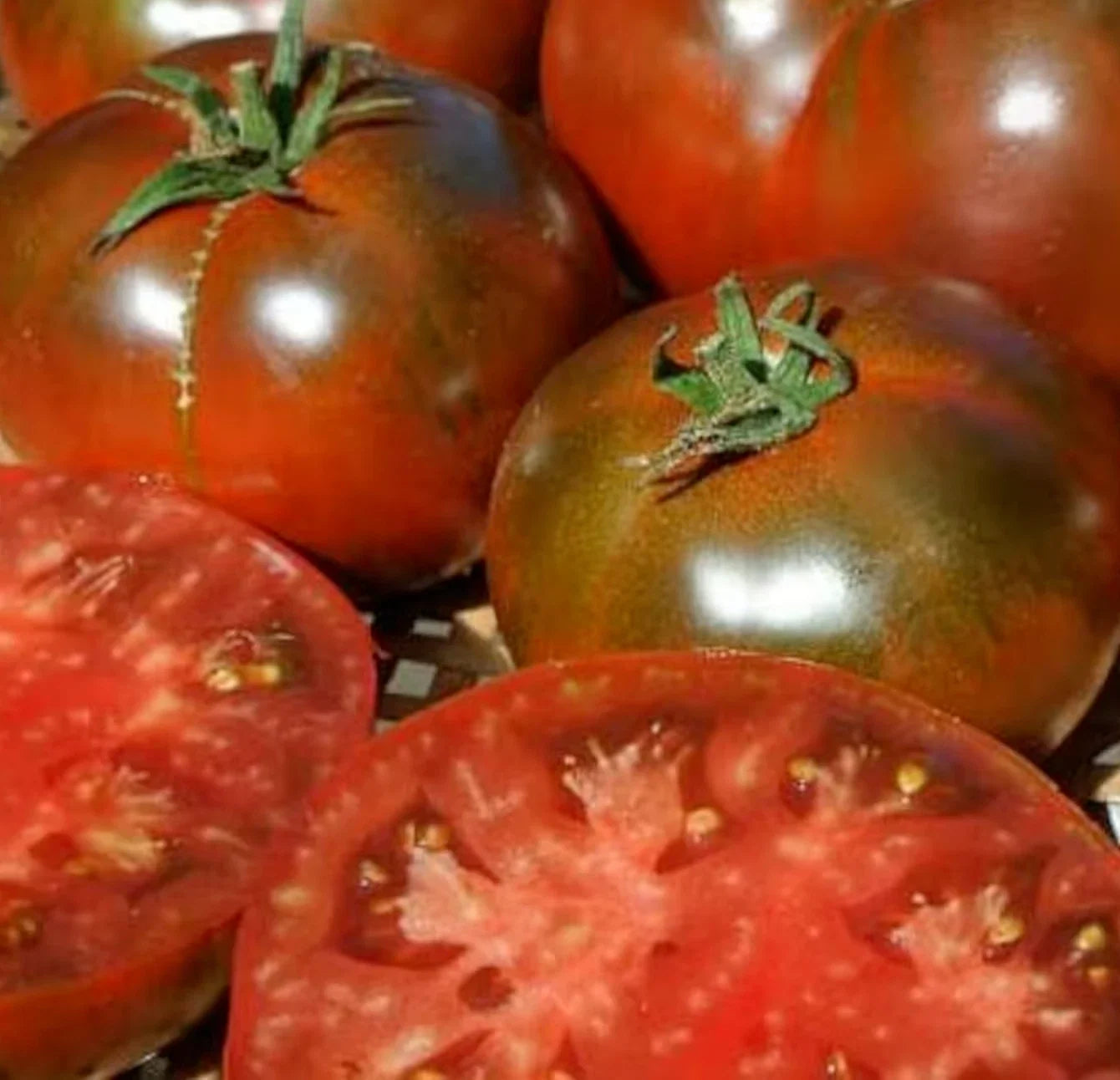 Paul Robeson Tomato Seeds – Indeterminate Beefsteak Variety, Heirloom, Solanum lycopersicum, Dark Red to Black Fruits, 100+ Seeds