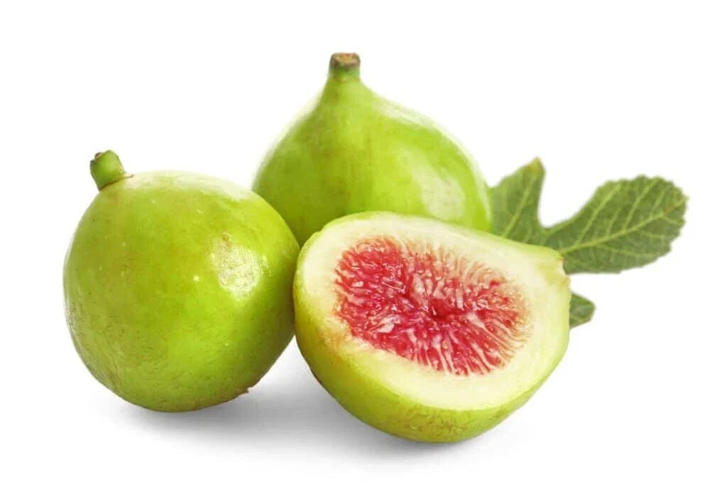 Green Ischia Fig Seeds - 100+ Non-GMO Ficus carica for Garden Planting, Backyard, Outdoor, Full Sun, Easy to Grow