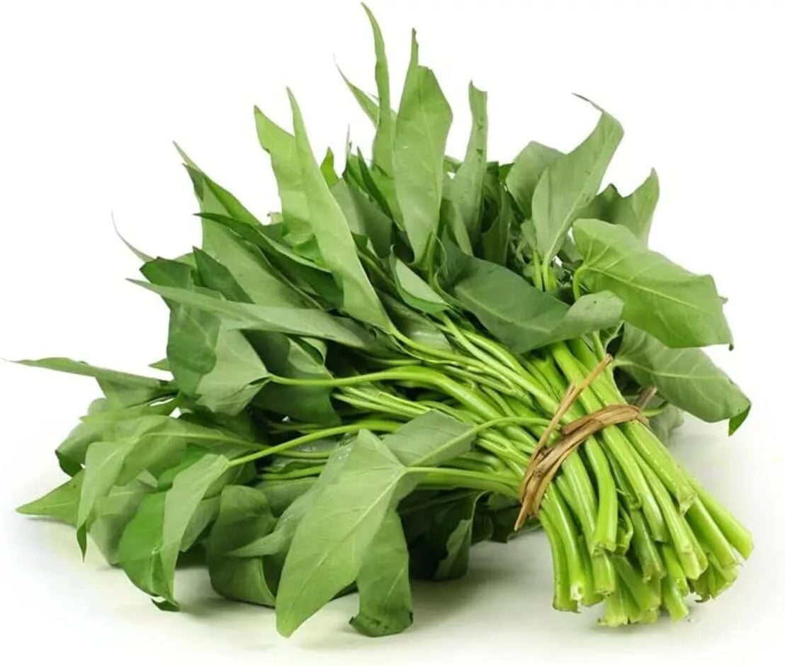 Ong Choy Seeds - Ipomoea Aquatica - Vietnamese Kang Kong - Fast-Growing, Edible Vegetable Seeds