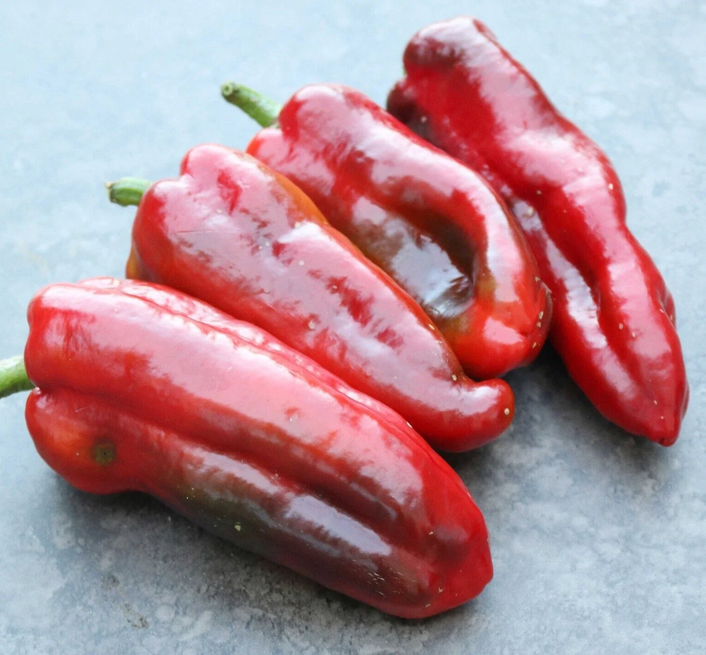 Marconi Red Pepper Seeds – 20 Premium Capsicum annuum for Home Gardening, Sweet, Fresh, Non-GMO