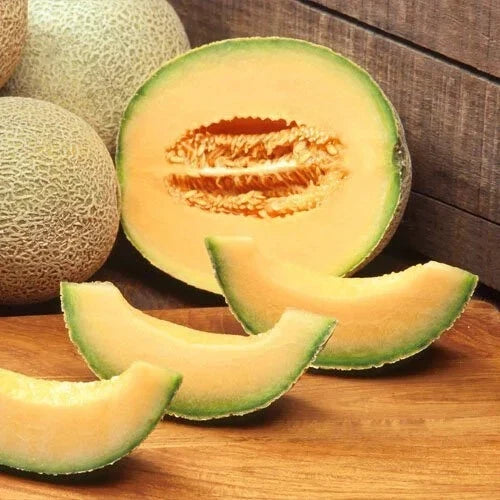 Cantaloupe Seeds Edisto 47 Heirloom Non-GMO Cucumis melo for Home Garden, Juicy Orange Flesh, Free Shipping