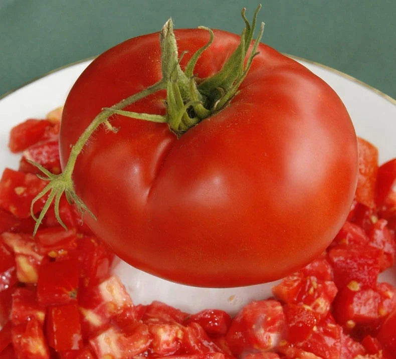 Bulk Tomato Seeds 300 Count - Delicious Giant Slicer Variety, Meaty Tomatoes