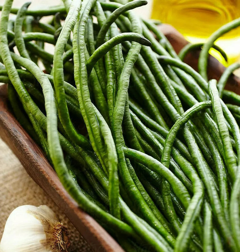 Dark Green Yard Long Bean Seeds – Asian Chinese Edamame, Vigna unguiculata, Climbing Vine, 25 Seeds