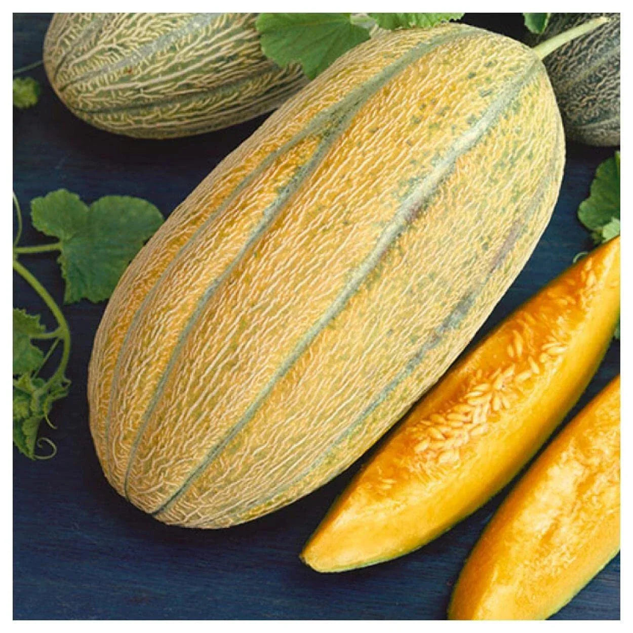 Banana Melon Seeds - Non-GMO Aromatic Cantaloupe - Cucumis melo